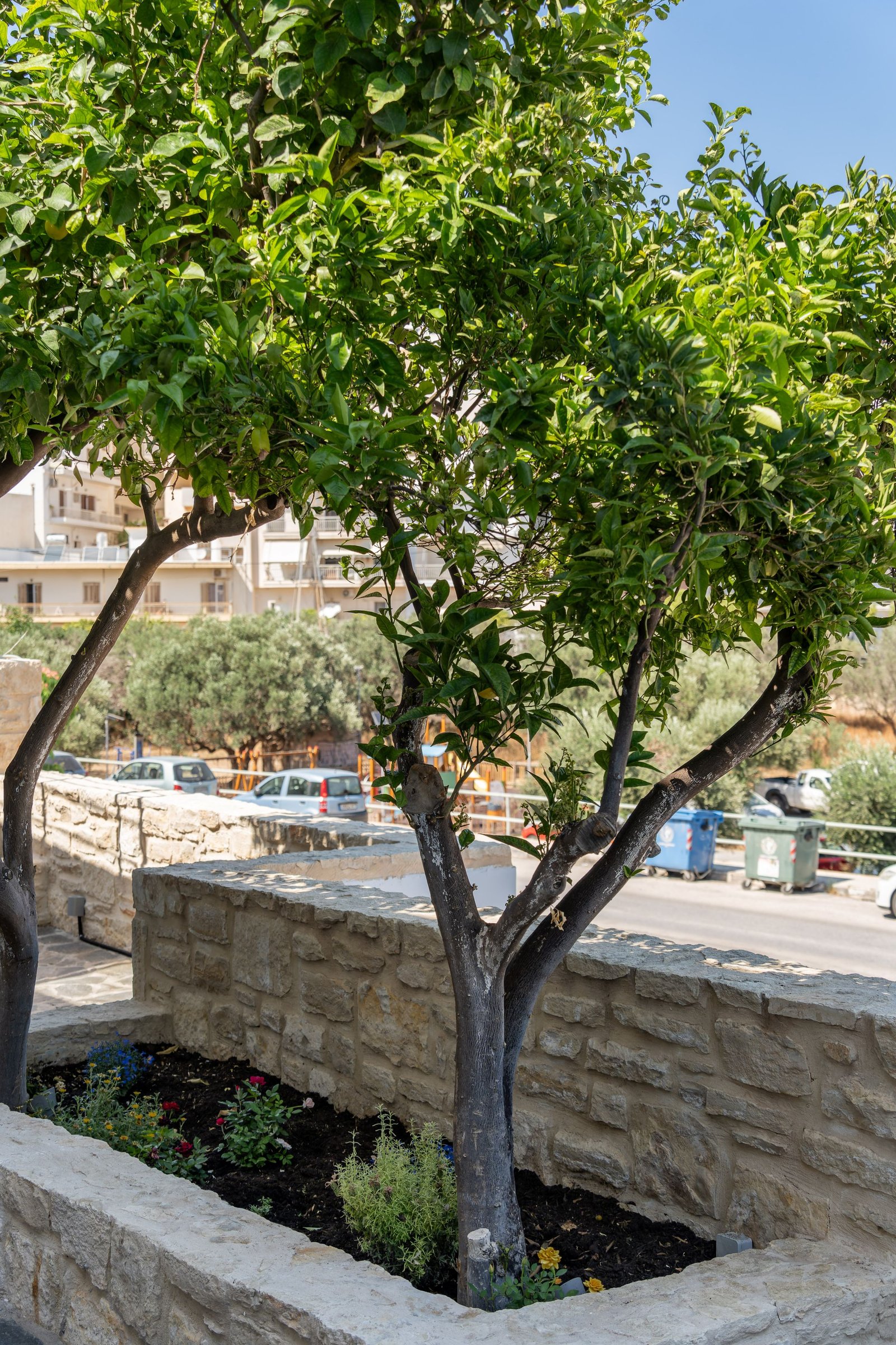 Outdoor space - Photo 5